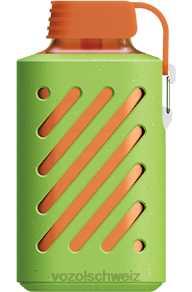 Erdbeer-Kiwi VOZOL kaufen Schweiz J24V310 VOZOL GEAR 10000