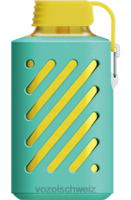 Himbeer-Wassermelone VOZOL vape Schweiz J24V306 VOZOL GEAR 10000