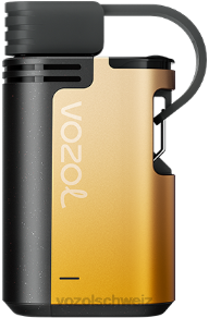 Kiwi, Passionsfrucht, Guave VOZOL vape Schweiz J24V326 VOZOL GEAR 4000c/6000
