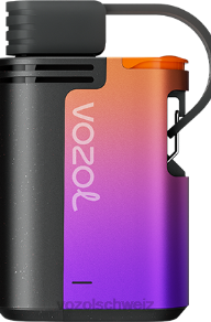 Waldbeerensturm VOZOL vape preis J24V324 VOZOL GEAR 4000c/6000