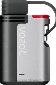blaues Razz-Eis VOZOL vape kaufen J24V322 VOZOL GEAR 4000c/6000