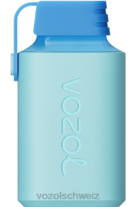 Blaubeereis VOZOL review J24V361 VOZOL GEAR 600