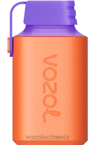 Brombeereis VOZOL kaufen Schweiz J24V360 VOZOL GEAR 600
