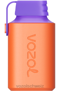 Cranberry-Traubeneis VOZOL online kaufen J24V348 VOZOL GEAR 600