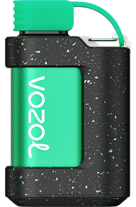 Wassermeloneneis VOZOL vape preis J24V344 VOZOL GEAR 7000