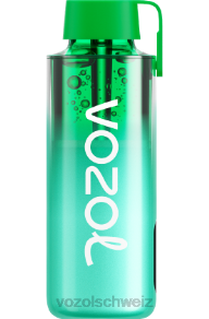 Miami-Minze VOZOL kaufen J24V229 VOZOL NEON 10000