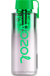 Traubeneis VOZOL vape preis J24V234 VOZOL NEON 10000
