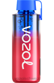 gefrorene Erdbeerkiwi VOZOL preis J24V227 VOZOL NEON 10000