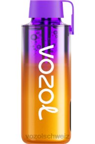 gemischte Beeren Vitol Geneva J24V235 VOZOL NEON 10000