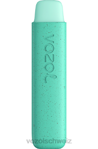 frische Minze VOZOL review J24V141 VOZOL STAR 550