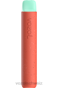 Erdbeerapfel VOZOL Schweiz J24V93 VOZOL STAR 600
