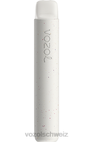 frischer Menthol-Mojito VOZOL kaufen Schweiz J24V80 VOZOL STAR 600