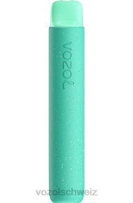 grüne Minze VOZOL vape kaufen J24V92 VOZOL STAR 600