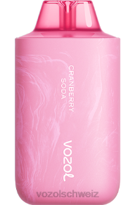 Cranberry-Soda VOZOL online kaufen J24V58 VOZOL STAR 6000/8000 v2