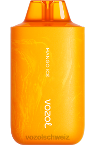 Mango-Eis VOZOL vape kaufen J24V62 VOZOL STAR 6000/8000 v2