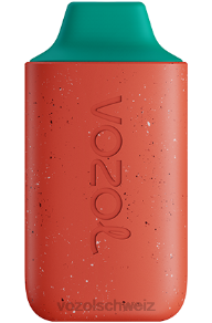 Erdbeereis VOZOL kaufen Schweiz J24V130 VOZOL STAR 6000