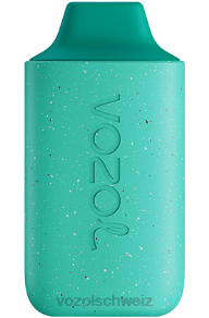 frische Minze VOZOL kaufen Schweiz J24V110 VOZOL STAR 6000