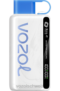 Blaubeersturm VOZOL vape kaufen J24V22 VOZOL STAR 9000/12000