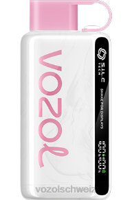 Creme-Sparer-Süßigkeiten VOZOL kaufen Schweiz J24V40 VOZOL STAR 9000/12000