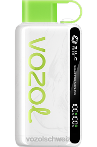 Erdbeer-Kiwi VOZOL review J24V31 VOZOL STAR 9000/12000