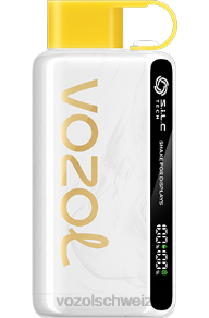 Kiwi, Passionsfrucht, Guave Vitol Geneva J24V25 VOZOL STAR 9000/12000