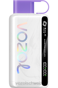 gemischte Beeren VOZOL vape Schweiz J24V26 VOZOL STAR 9000/12000