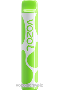 Doppelapfel VOZOL kaufen Schweiz J24V380 VOZOL JOYGO 600