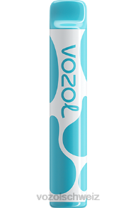 Heidelbeere, saure Himbeere VOZOL preis J24V377 VOZOL JOYGO 600