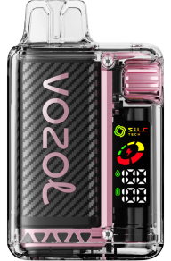 Pfirsich-Mango-Wassermelone VOZOL vape kaufen J24V12 VOZOL VISTA 16000/20000