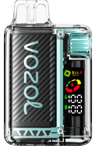 saures Apfeleis VOZOL vape preis J24V14 VOZOL VISTA 16000/20000