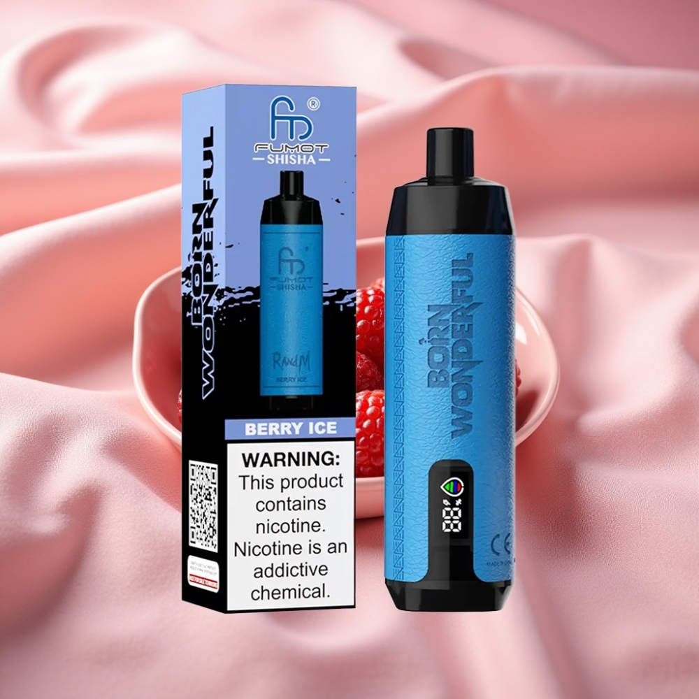 RandM Fumot Shisha 10000 Züge Disposable Vape Beere-Eis mit LED, 18ml, 850mAh, Typ-C