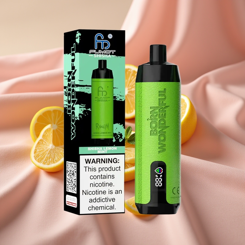 RandM Fumot Shisha 10000 Züge Disposable Vape Shisha Zitrone Minze mit LED, 18ml, 850 mAh, Typ-C