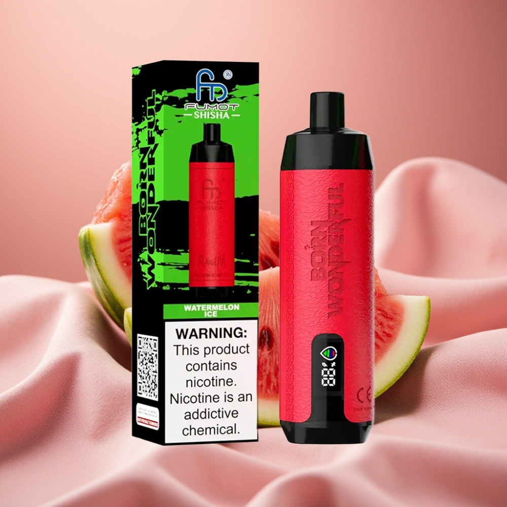 RandM Fumot Shisha 10000 Züge Disposable Vape Wassermelone Eis mit LED, 18ml, 850mAh