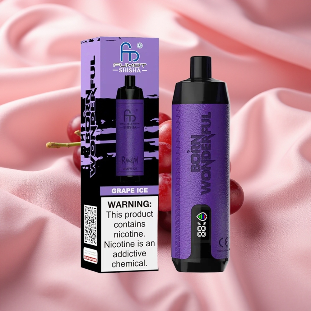 RandM Fumot Shisha 10000 Züge LED Typ-C 18ml 0,6Ω Mesh Grape Ice