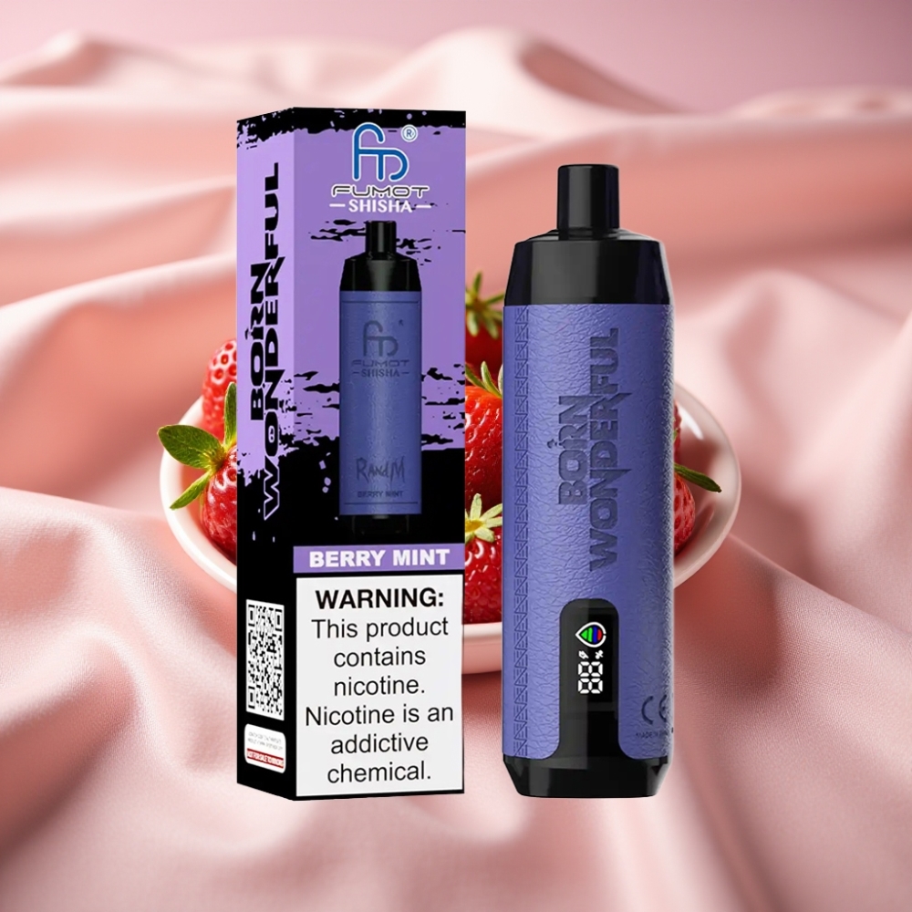 RandM Fumot Shisha 10000 Züge LED Typ-C 18ml Beerenminze 0,5% Nikotin