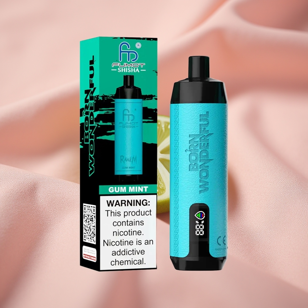 RandM Fumot Shisha 10000 Züge LED Typ-C 18ml Kaugummi Minze 0,5% Nikotin