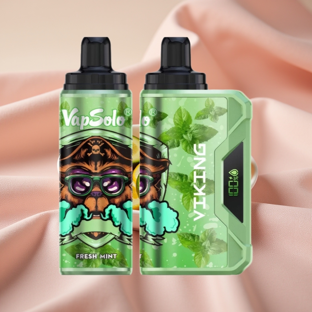 VapSolo VIKING 12000 Puffs Wegwerf-Vape Frische Minze mit Type-C & LED-Display