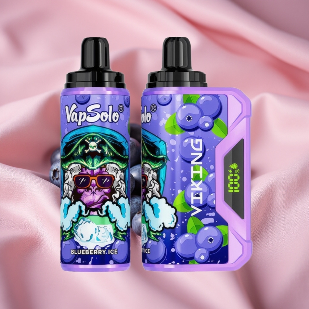 VapSolo VIKING 12000 Puffs Wegwerf-Vape Heidelbeere mit Typ-C & LED-Display