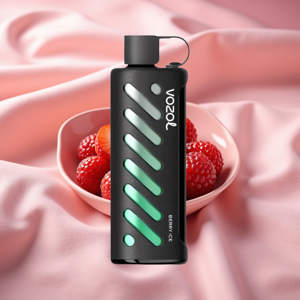 VOZOL Gear Shisha 25000 Puffs Beere-Eis Dual Mesh 1000mAh 5mg/ml S.i.L.C Tech