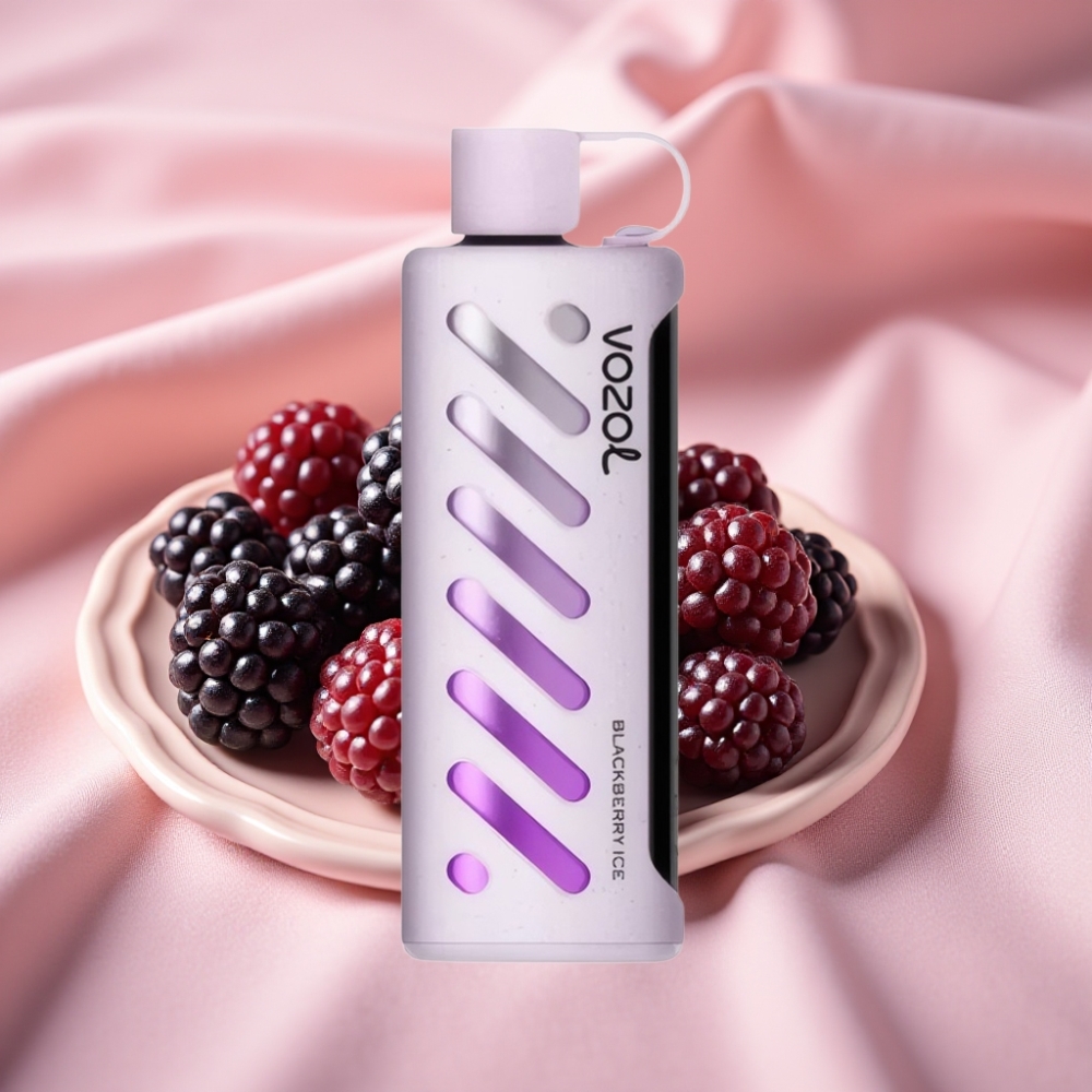 VOZOL Gear Shisha 25000 Puffs Dual Mesh Blackberry-Eis S.i.L.C Tech 1000mAh