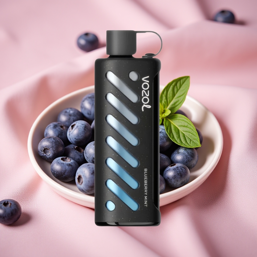 VOZOL Gear Shisha 25000 Puffs Dual Mesh Heidelbeer Minze S.i.L.C Tech 1000mAh