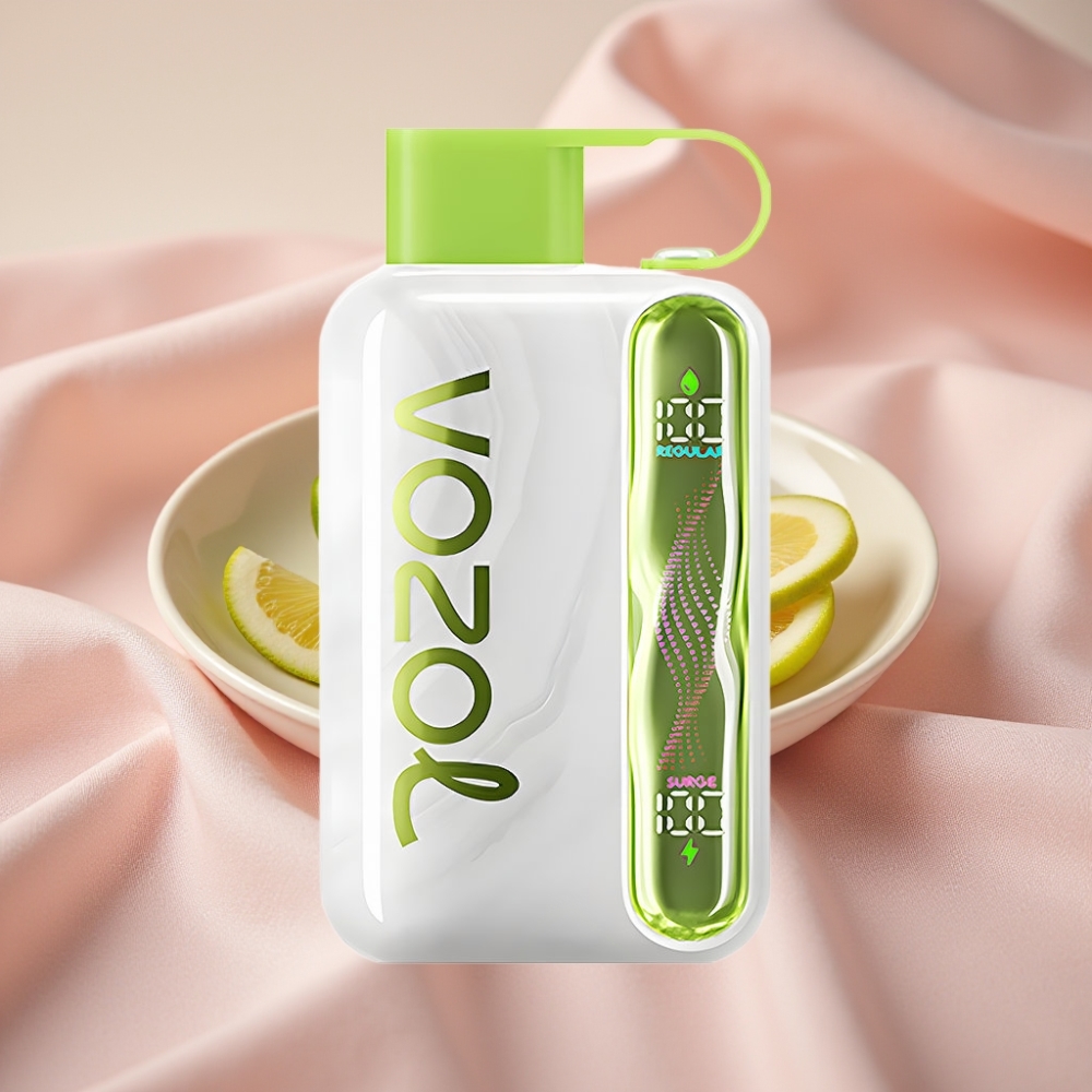 VOZOL STAR 40000 Puffs Wegwerf-Vape Kühle Minze mit 1000mAh & Typ-C