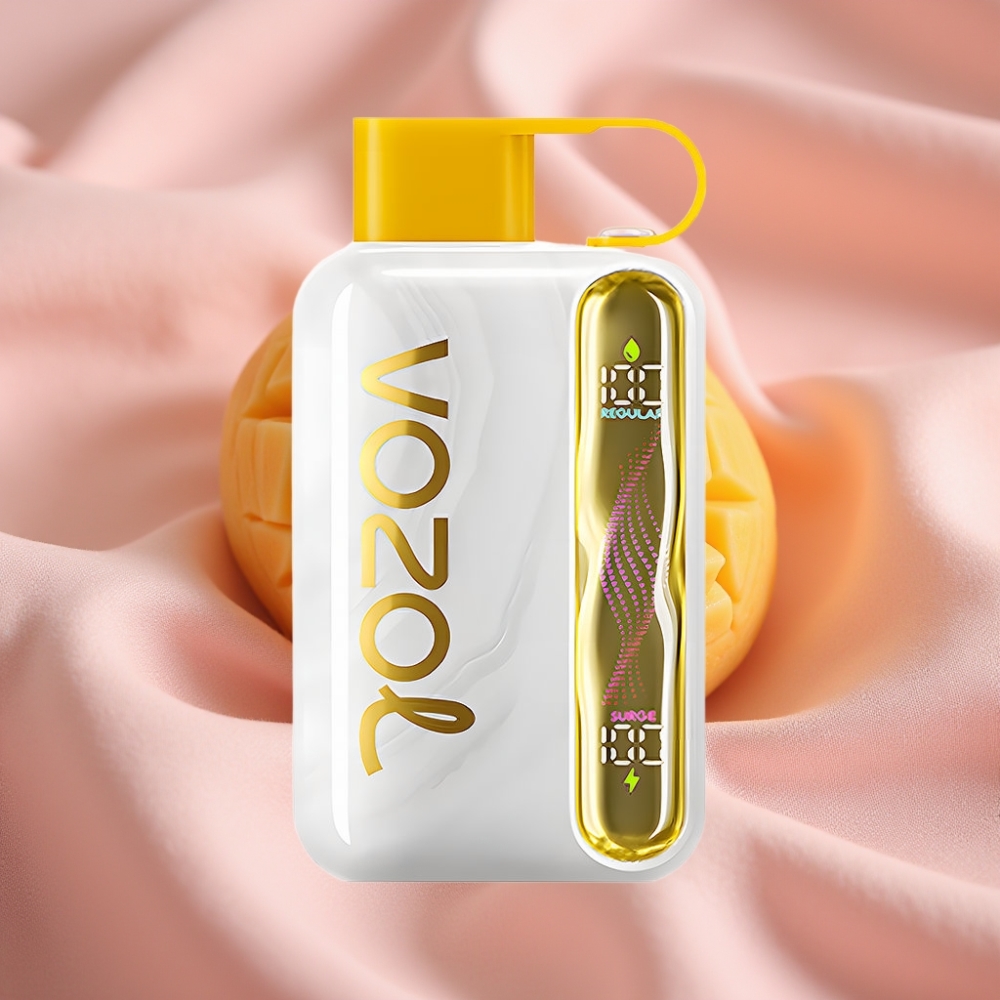 VOZOL STAR 40000 Puffs Wegwerf-Vape Mango-Eis 1000mAh Typ-C 20/50mg/ml