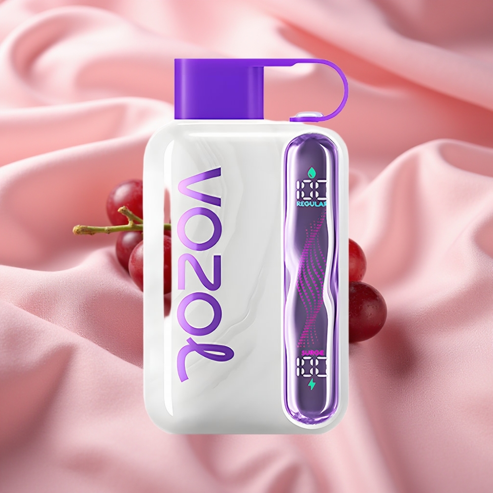 VOZOL STAR 40000 Züge Wegwerf-Vape Graueis 1000mAh Type-C 20/50mg/ml