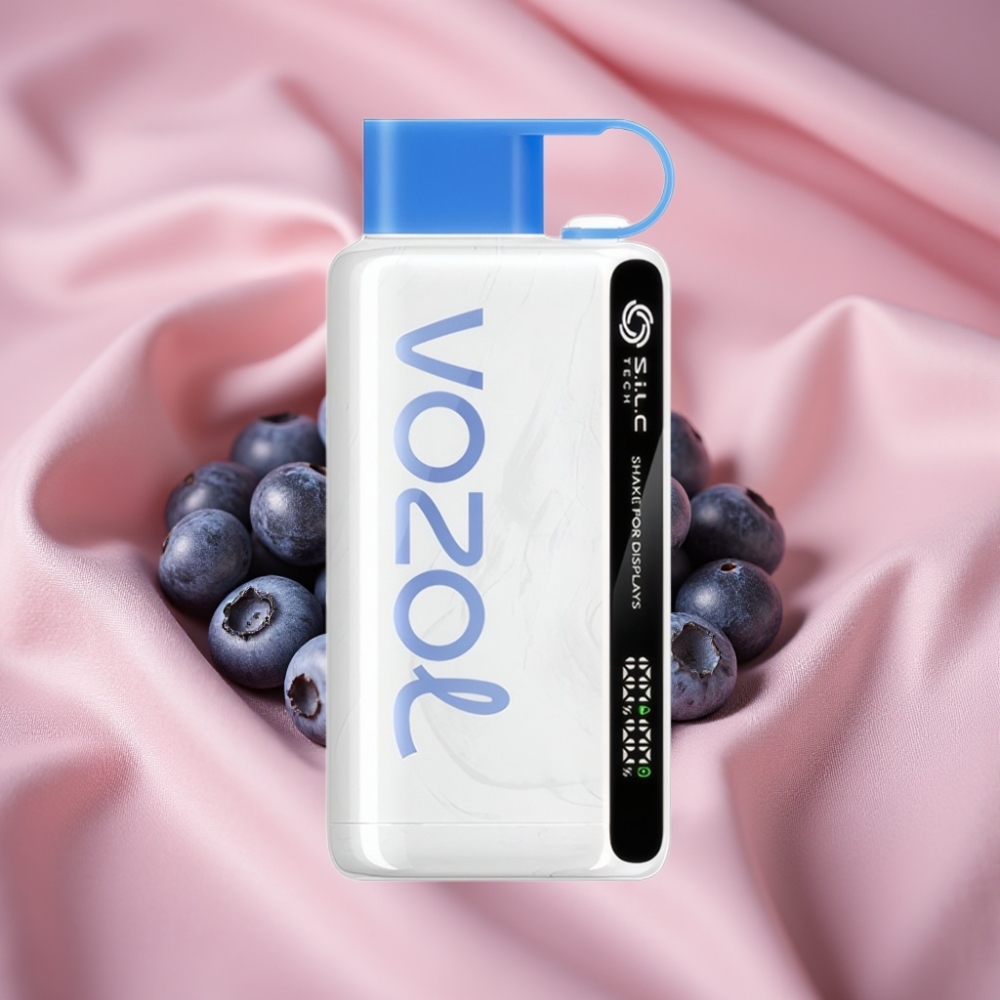 VOZOL STAR 9000/12000 Disposable Vape Blaubeer-Sturm mit Schüttel-Anzeige, S.i.L.C TECH, 650mAh